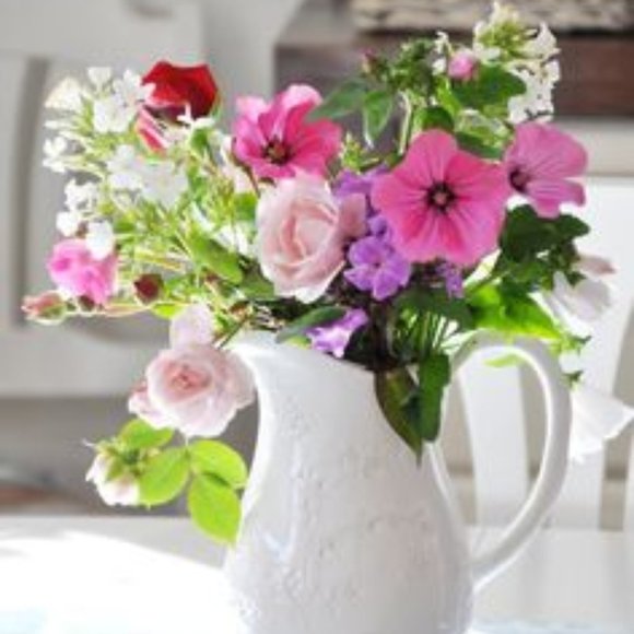 ๐๐ฒ๐น๐น๐ผ - Picture 1 of 1